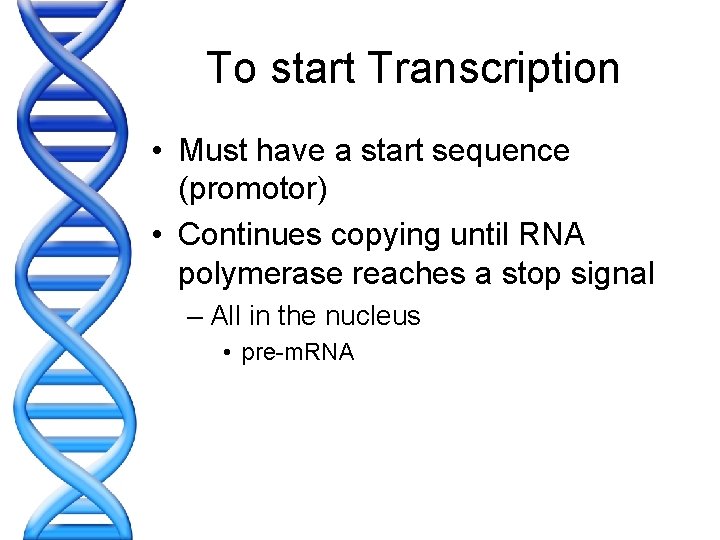 To start Transcription • Must have a start sequence (promotor) • Continues copying until