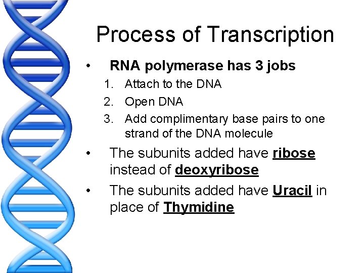 Process of Transcription • RNA polymerase has 3 jobs 1. Attach to the DNA