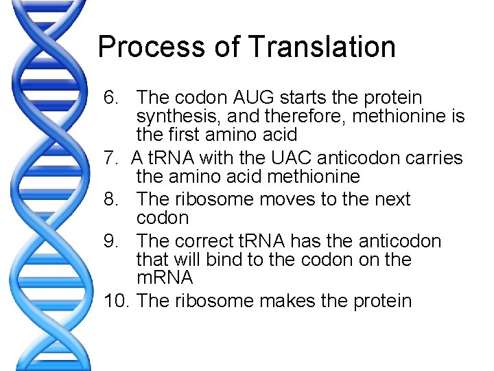 Process of Translation 6. The codon AUG starts the protein synthesis, and therefore, methionine