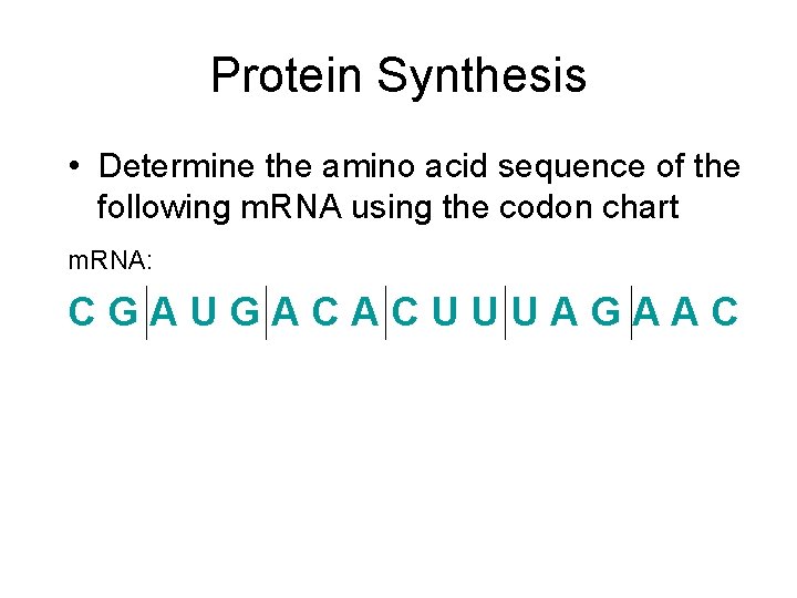 Protein Synthesis • Determine the amino acid sequence of the following m. RNA using