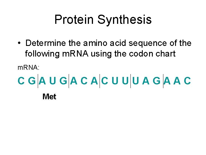 Protein Synthesis • Determine the amino acid sequence of the following m. RNA using