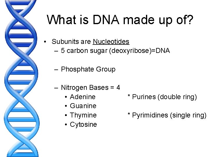 What is DNA made up of? • Subunits are Nucleotides – 5 carbon sugar