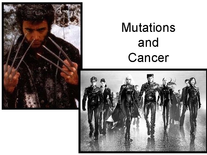 Mutations and Cancer 