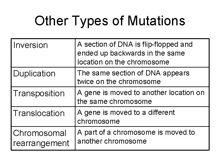 Other Types of Mutations Inversion Duplication Transposition Translocation A section of DNA is flip-flopped
