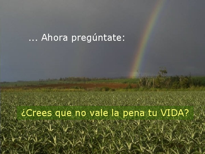 . . . Ahora pregúntate: ¿Crees que no vale la pena tu VIDA? 