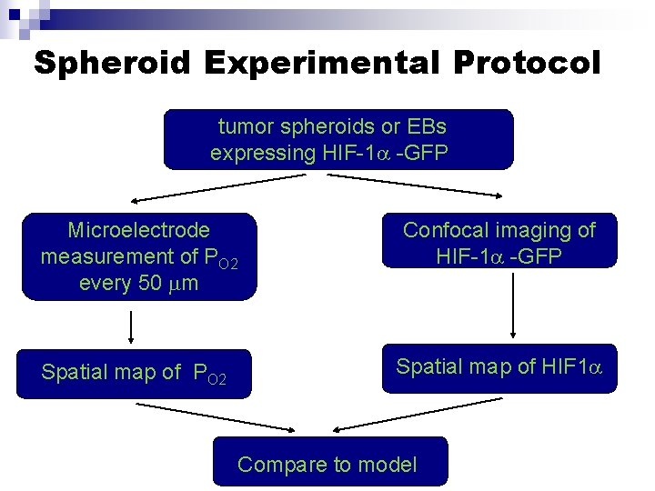 Spheroid Experimental Protocol tumor spheroids or EBs expressing HIF-1 -GFP Microelectrode measurement of PO