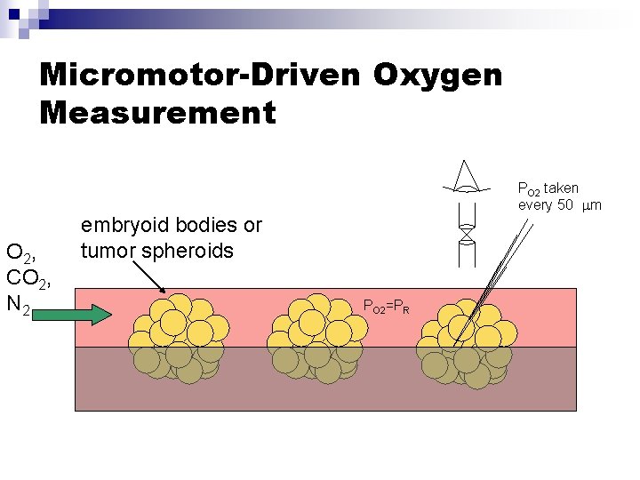 Micromotor-Driven Oxygen Measurement O 2, CO 2, N 2 PO 2 taken every 50