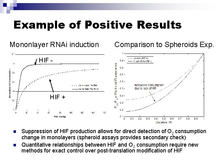 Example of Positive Results Mononlayer RNAi induction Comparison to Spheroids Exp. HIF - HIF