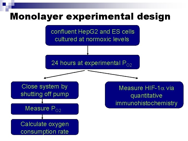 Monolayer experimental design confluent Hep. G 2 and ES cells cultured at normoxic levels