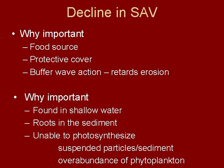 Decline in SAV • Why important – Food source – Protective cover – Buffer