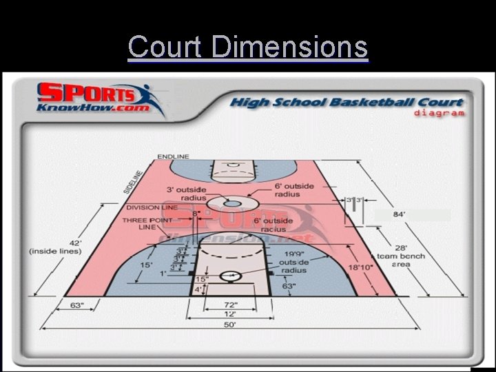 Court Dimensions 