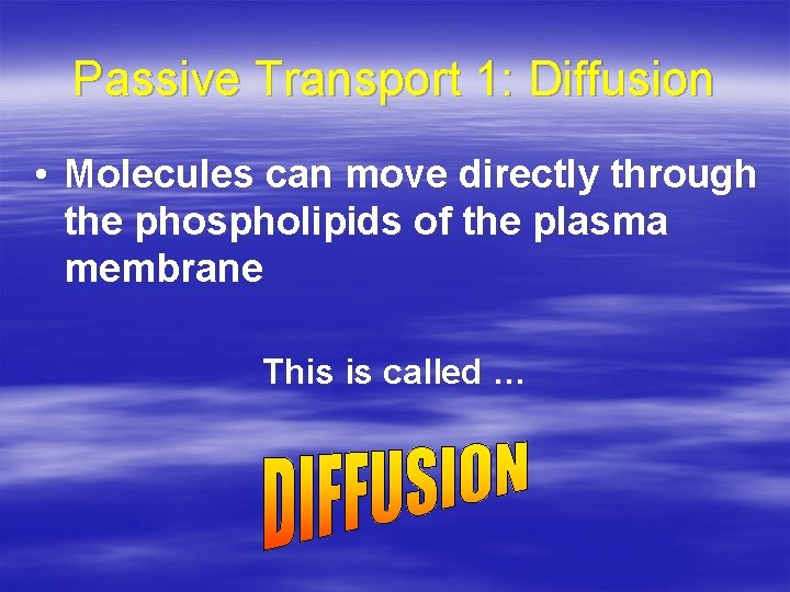 Passive Transport 1: Diffusion • Molecules can move directly through the phospholipids of the