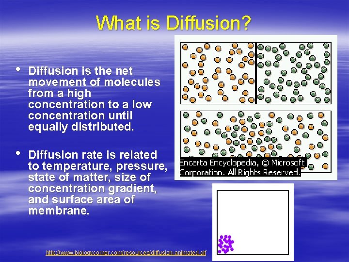 What is Diffusion? • Diffusion is the net movement of molecules from a high