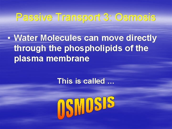 Passive Transport 3: Osmosis • Water Molecules can move directly through the phospholipids of