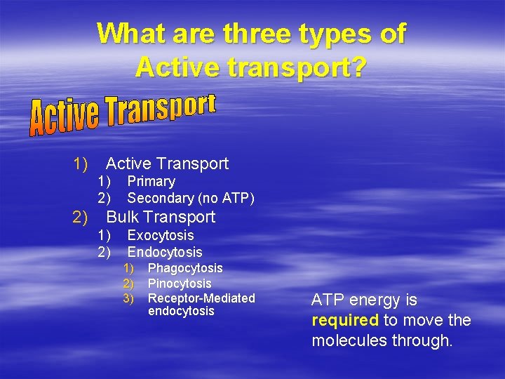 What are three types of Active transport? 1) Active Transport 1) 2) 2) Primary