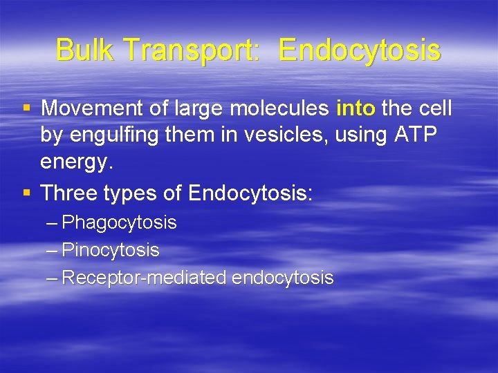 Bulk Transport: Endocytosis § Movement of large molecules into the cell by engulfing them