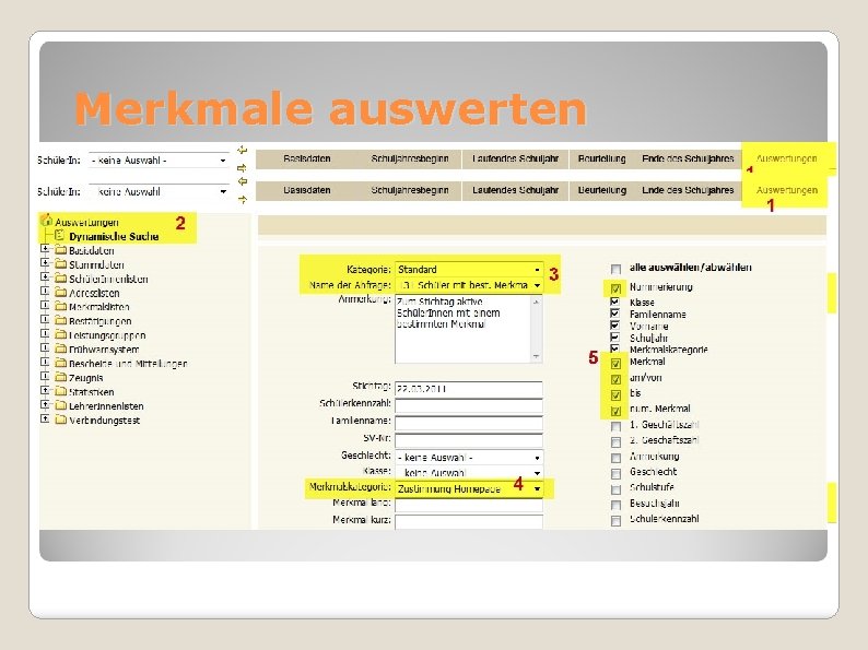 Merkmale auswerten Auswertung Dynamische Suche 