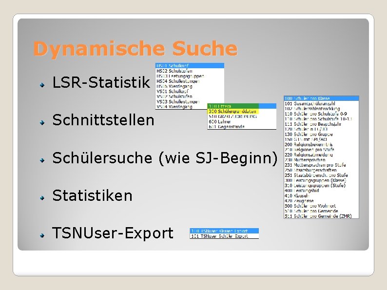 Dynamische Suche LSR-Statistik Schnittstellen Schülersuche (wie SJ-Beginn) Statistiken TSNUser-Export 