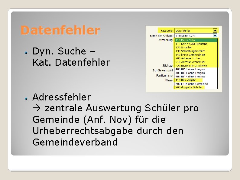 Datenfehler Dyn. Suche – Kat. Datenfehler Adressfehler zentrale Auswertung Schüler pro Gemeinde (Anf. Nov)