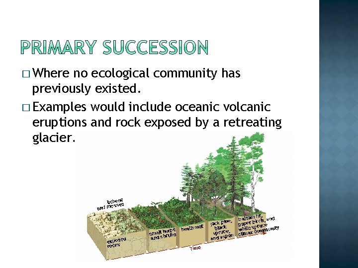 � Where no ecological community has previously existed. � Examples would include oceanic volcanic