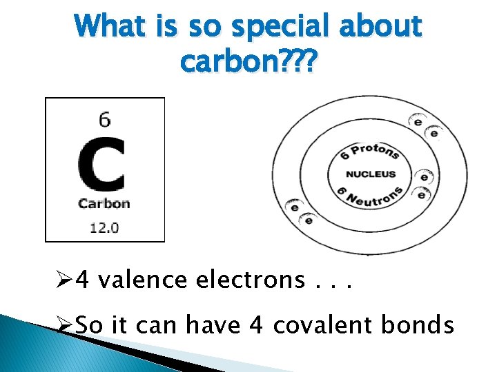 What is so special about carbon? ? ? Ø 4 valence electrons. . .