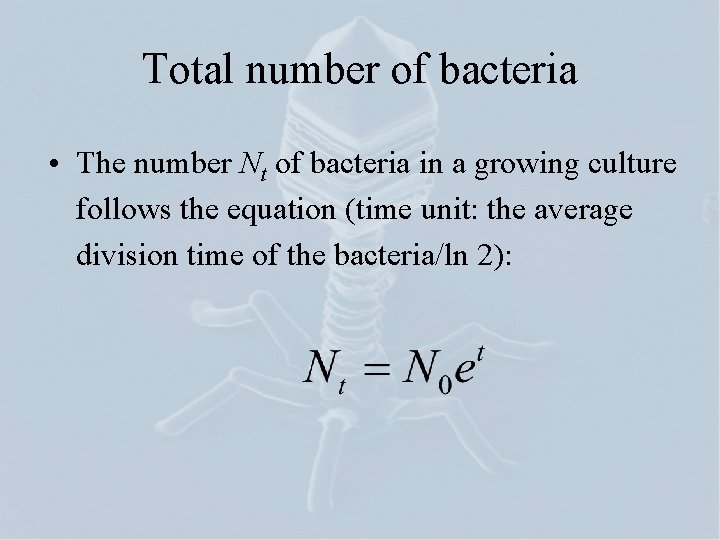 Total number of bacteria • The number Nt of bacteria in a growing culture