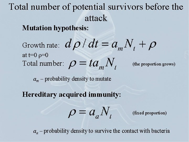 Total number of potential survivors before the attack Mutation hypothesis: Growth rate: at t=0