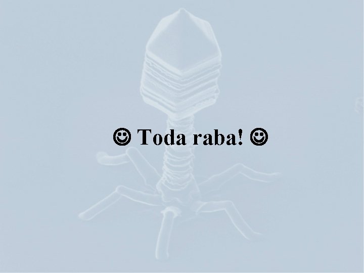  Toda raba! 