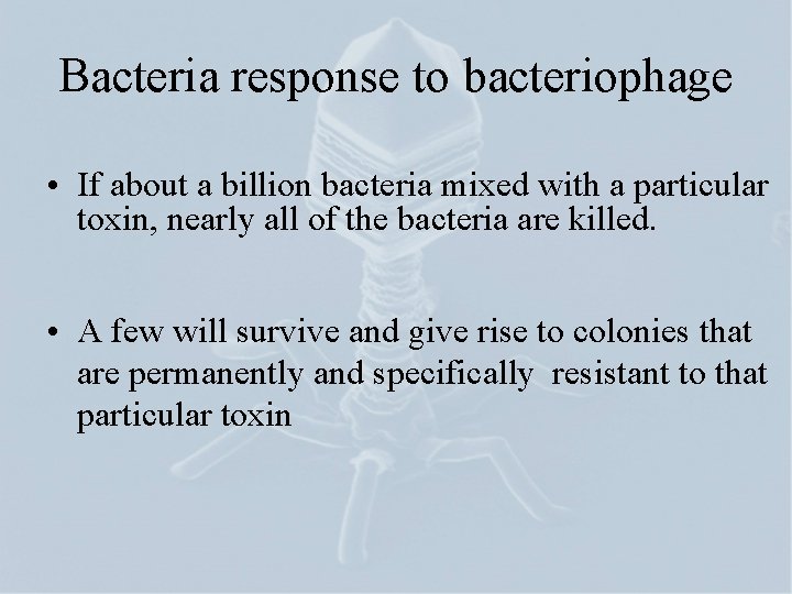 Bacteria response to bacteriophage • If about a billion bacteria mixed with a particular