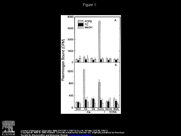 Figure 1: Journal of Biological Chemistry 1995 27017871 -17877 DOI: (10. 1074/jbc. 270. 30.