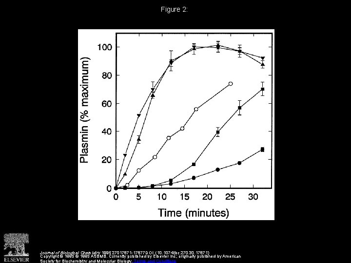 Figure 2: Journal of Biological Chemistry 1995 27017871 -17877 DOI: (10. 1074/jbc. 270. 30.