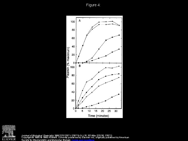 Figure 4: Journal of Biological Chemistry 1995 27017871 -17877 DOI: (10. 1074/jbc. 270. 30.