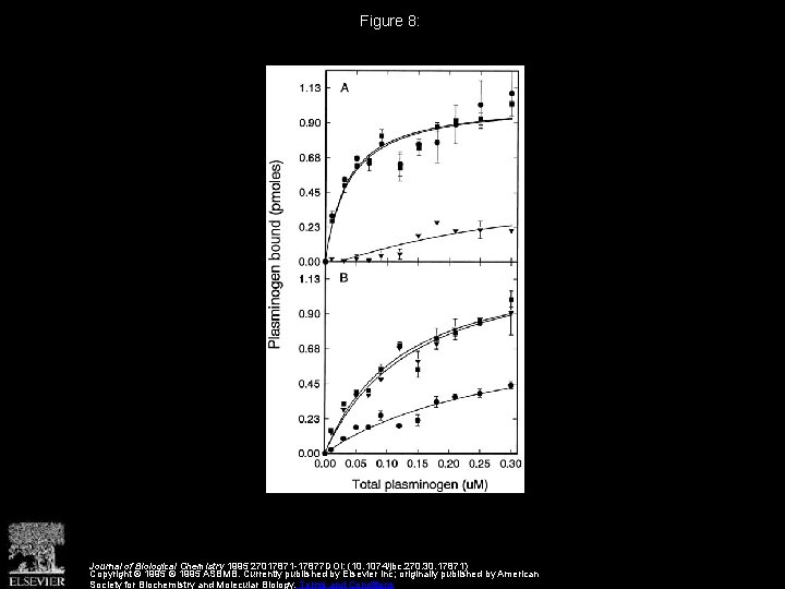 Figure 8: Journal of Biological Chemistry 1995 27017871 -17877 DOI: (10. 1074/jbc. 270. 30.