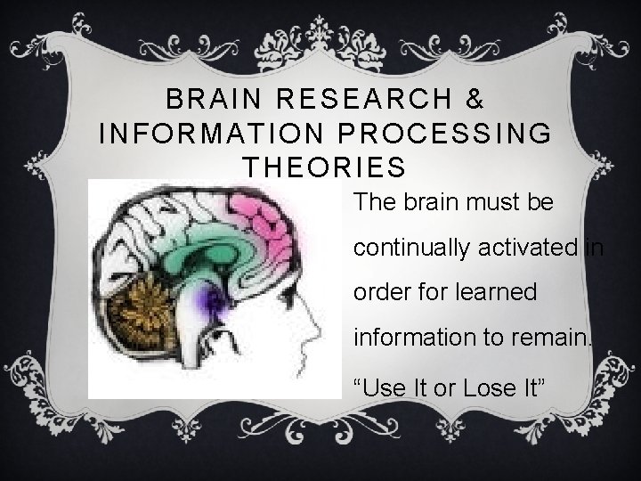 BRAIN RESEARCH & INFORMATION PROCESSING THEORIES The brain must be continually activated in order