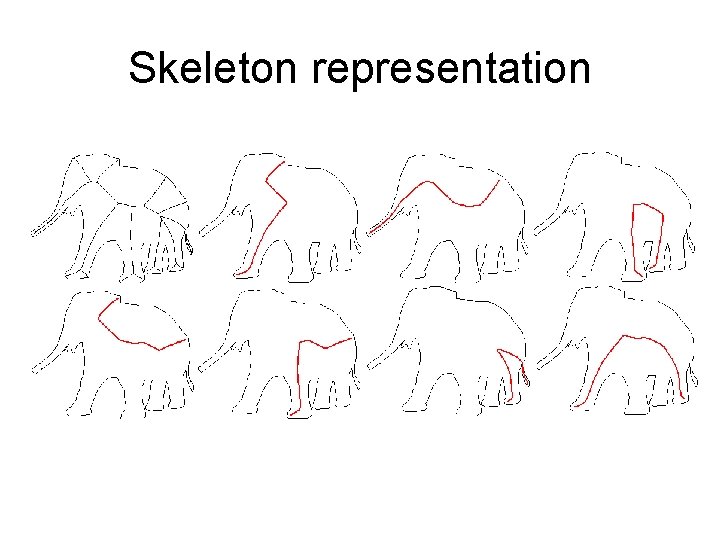 Skeleton representation 