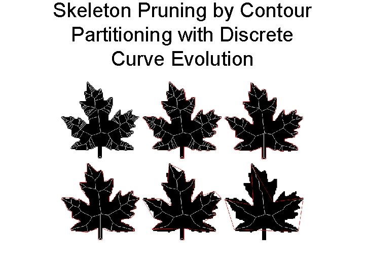 Skeleton Pruning by Contour Partitioning with Discrete Curve Evolution 