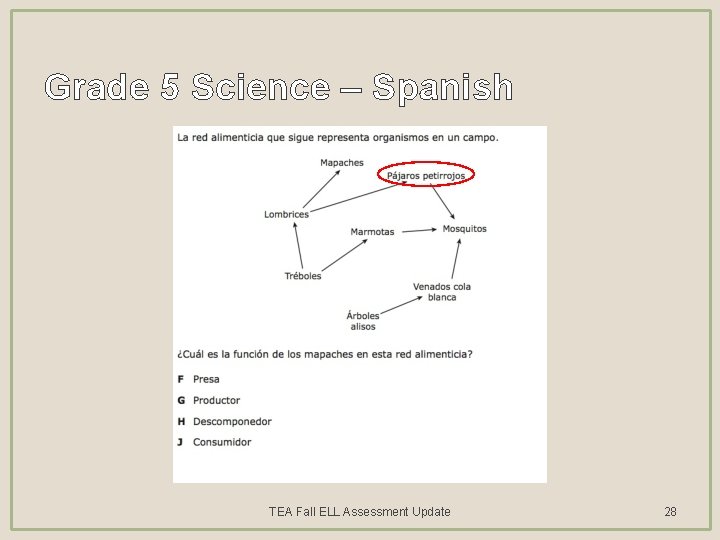 Grade 5 Science – Spanish TEA Fall ELL Assessment Update 28 