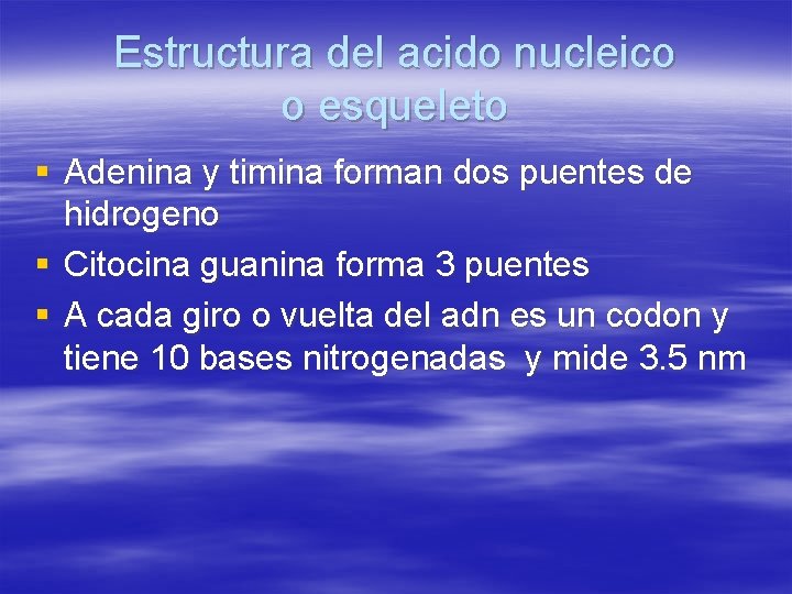 Estructura del acido nucleico o esqueleto § Adenina y timina forman dos puentes de