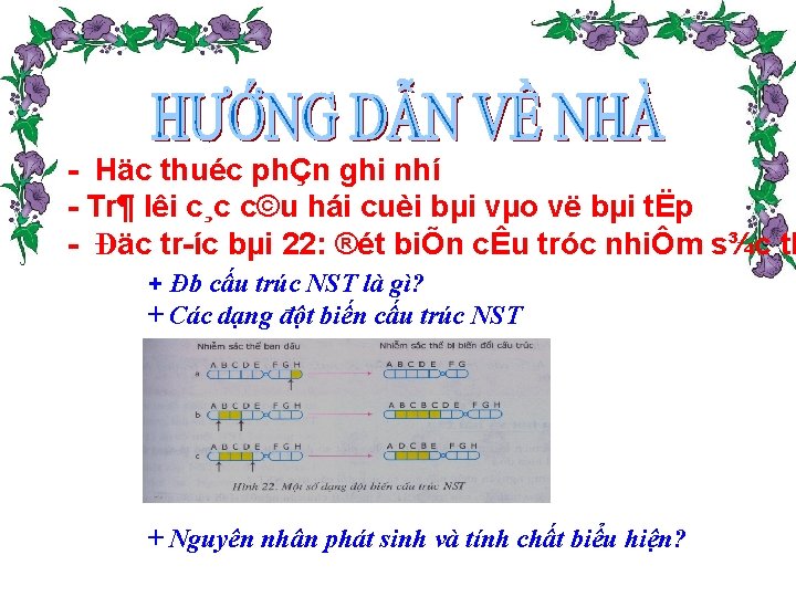  Häc thuéc phÇn ghi nhí Tr¶ lêi c¸c c©u hái cuèi bµi vµo