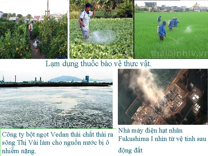 Lạm dụng thuốc bảo vệ thực vật. Nhà máy điện hạt nhân Công ty