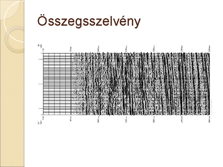 Összegsszelvény 