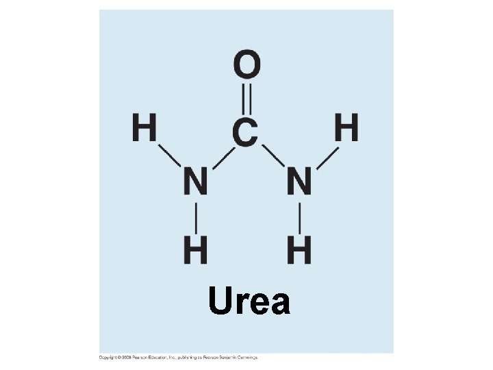 Urea 