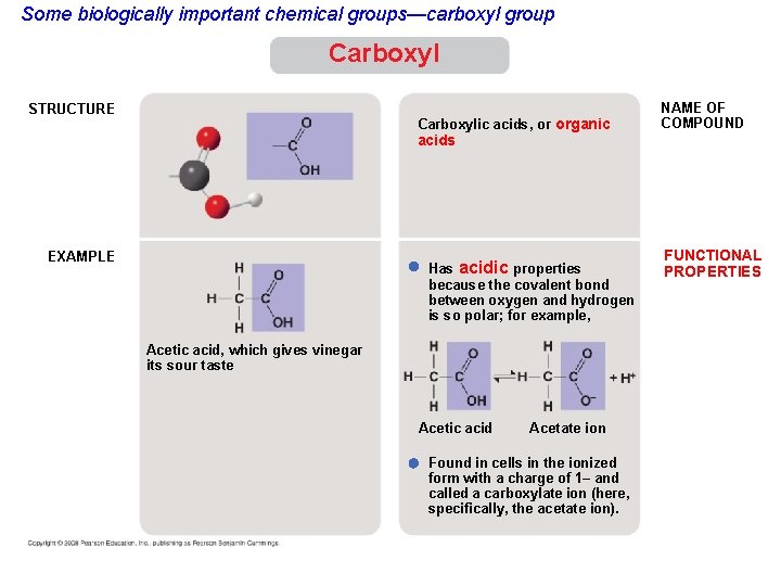 Some biologically important chemical groups—carboxyl group Carboxyl STRUCTURE Carboxylic acids, or organic NAME OF