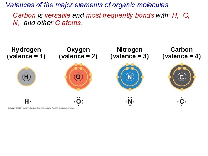 Valences of the major elements of organic molecules Carbon is versatile and most frequently