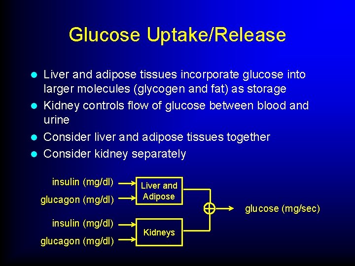 Glucose Uptake/Release Liver and adipose tissues incorporate glucose into larger molecules (glycogen and fat)