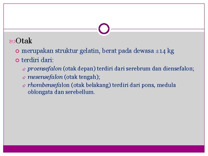  Otak merupakan struktur gelatin, berat pada dewasa ± 14 kg terdiri dari: proensefalon