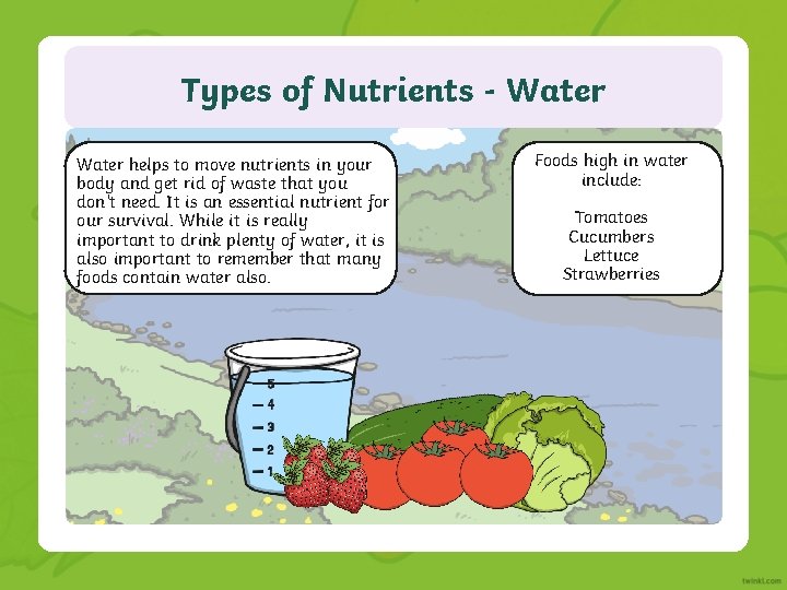 Types of Nutrients - Water helps to move nutrients in your body and get