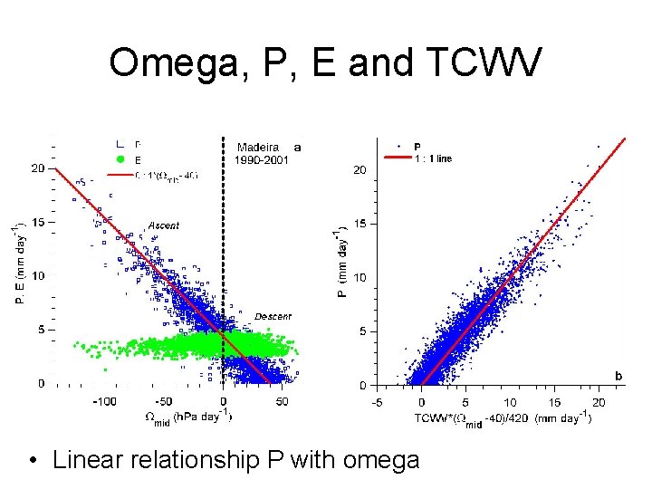 Omega, P, E and TCWV • Linear relationship P with omega 