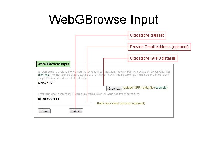 Web. GBrowse Input Upload the dataset Provide Email Address (optional) Upload the GFF 3