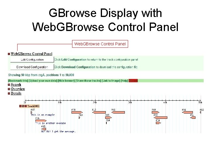 GBrowse Display with Web. GBrowse Control Panel 